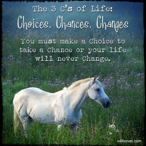 : Choices, Chances, Changes. You must make a choice to take a chance ...