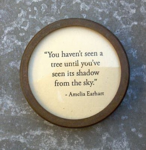 Quote...Amelia Earhart...her perspective