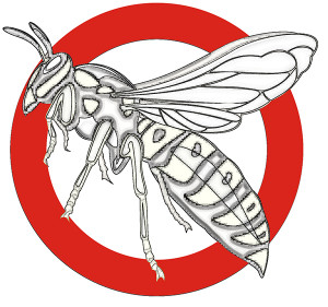 Bed Bug Images In Vector Illustration