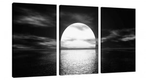 Black And White Canvas Set