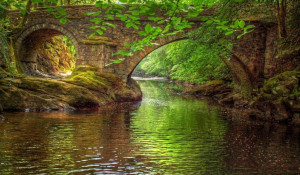 Words build bridges into unexplored regions.