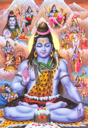 Sri Shiva Life