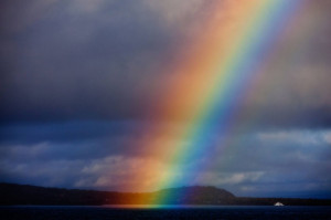 rainbow after a storm