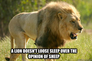 lion doesnt loose sleep over the opinion of sheep sleep