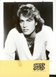 Andy Gibb