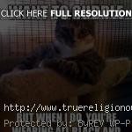 cuddle quotes sayings