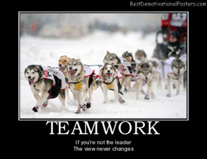 teamwork-dogs-sports-leadership-teamwork-best-demotivational-posters ...