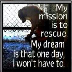 quote from Tia Torres, from Villalobos Rescue Center and Pit Bulls ...