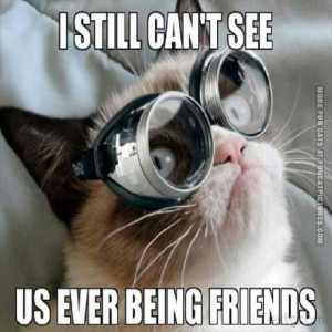 funny cat pics i still cant see us ever being friends grumpy
