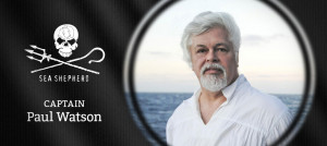 Paul Watson Pictures