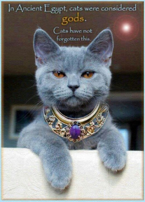 Cats were Gods. Terry Pratchett Quote. #cat #humour #egypt