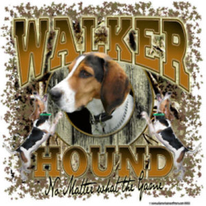 ... Shirt Coon Hound Coonhound Dog Hunter Hunting Treeing Walker No Matter