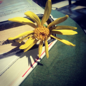 and together we will create a beautiful disaster