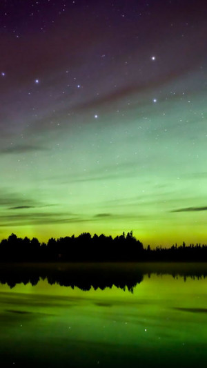 100 HD Phone Wallpapers For All Screen Sizes