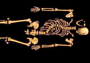 King Richard III remains found