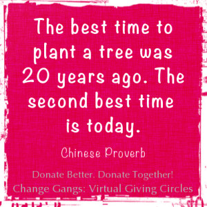 The Best Time Plant Tree...
