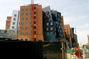 then attend a performance at the walt disney concert hall