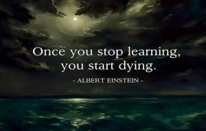 Albert Einstein - Keep Learning