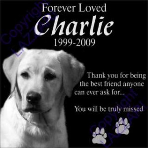 Dog Cat Memorial 12x12 Engraved Granite Grave Marker Plaque G