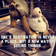 Turtle Truth! #QOTD #Teeturtle #inspiration #turtle #quote #travel # ...