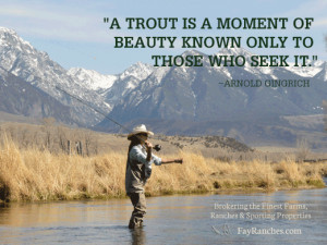 trout is a moment of beauty known only to those who seek it ...