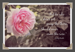 ... dares not grasp the thorn, should never crave the rose.