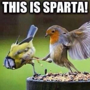 This is Sparta