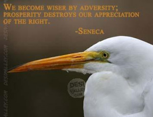 We become wiser by adversity Prosperity destroys our appreciations of ...