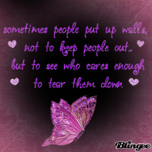 SOMETIMES PPL PUT UP WALLS, NOT 2 KEEP PPL OUT..BUT 2 C WHO CARES ...
