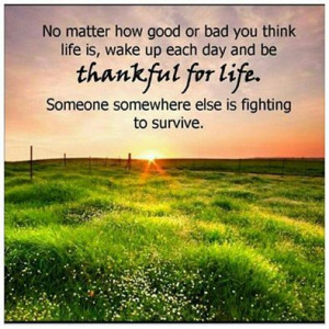 Found on Uploaded by user