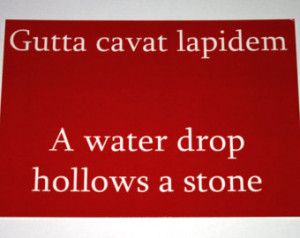 Ovid Quote Postcard - Red - Water Drop
