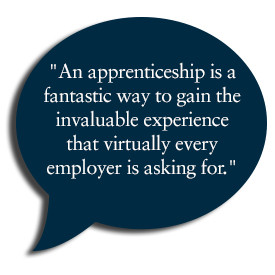 what training opportunities do the apprentices receive during their