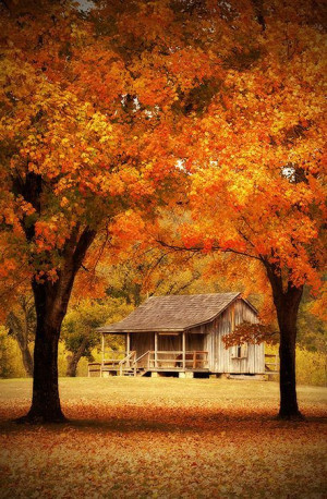 ... cozy cottage country leaves Explore barn farm autumn blog fall blog