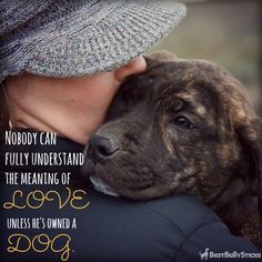 ... National #LoveYourPet Day! We love all pets, especially #dogs ! More