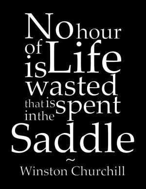 Horse Quote by Rachillion