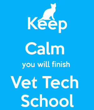 Keep Calm you will finish Vet Tech School