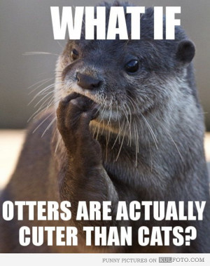 ... Otters Adorable, Things, Otters Funny, Sea Otters, Cat Lovers, Rivers