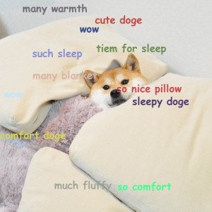 Cute Doge Meme Is Ready For Fluffy Sleep