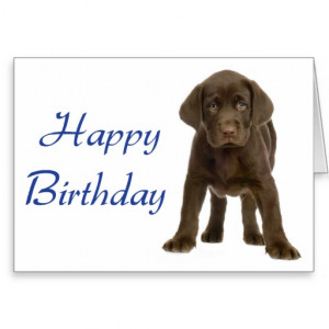 labrador retriever black dog happy birthday black lab dog