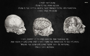 Brain - Human, Fear, Life, Brain, Quote, Human Life, Life Quote ...