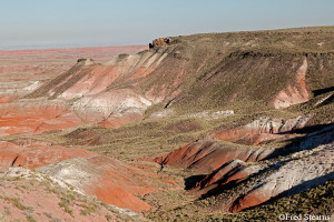 Free Quotes Pics on: Whipple Point Painted Desert Petrified Forest ...