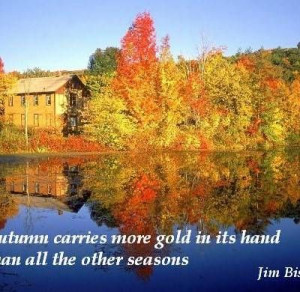 Funny Autumn Quotes