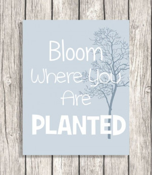 Bloom Where You Are Planted Inspirational Quotes by PatiHomeDecor, $7 ...