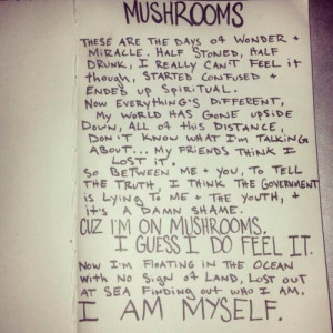 Lyrics to Mod Sun’s new song, MushrooMS. Available for free download ...