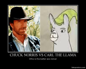 Carl The Llama Quotes Chuck norris vs carl the llama