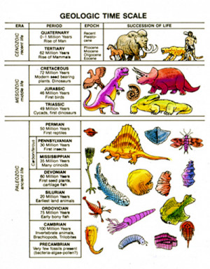 ROCK FORMATION, GEOLOGIC TIME SCALE, FOSSIL FORMATION AND ROCK CYCLE