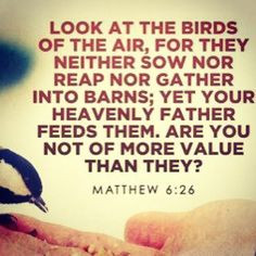 The Lord supplies food for every living being. It's human beings who ...