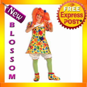 Clown Bozo The Adult Costume