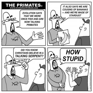 Click each thumbnail to get the full size image.