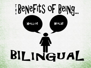 What Is A Good Bilingual Definition? I Think I Found It…